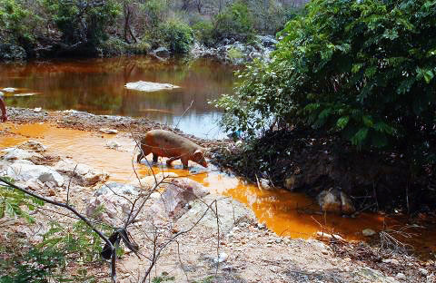 Según estimaciones de Bernardo Belloso, miembro de la Mesa Frente a la Minería Metálica (MNFMM), 11 municipios de la zona norte del país se verían contaminados por proyectos mineros.